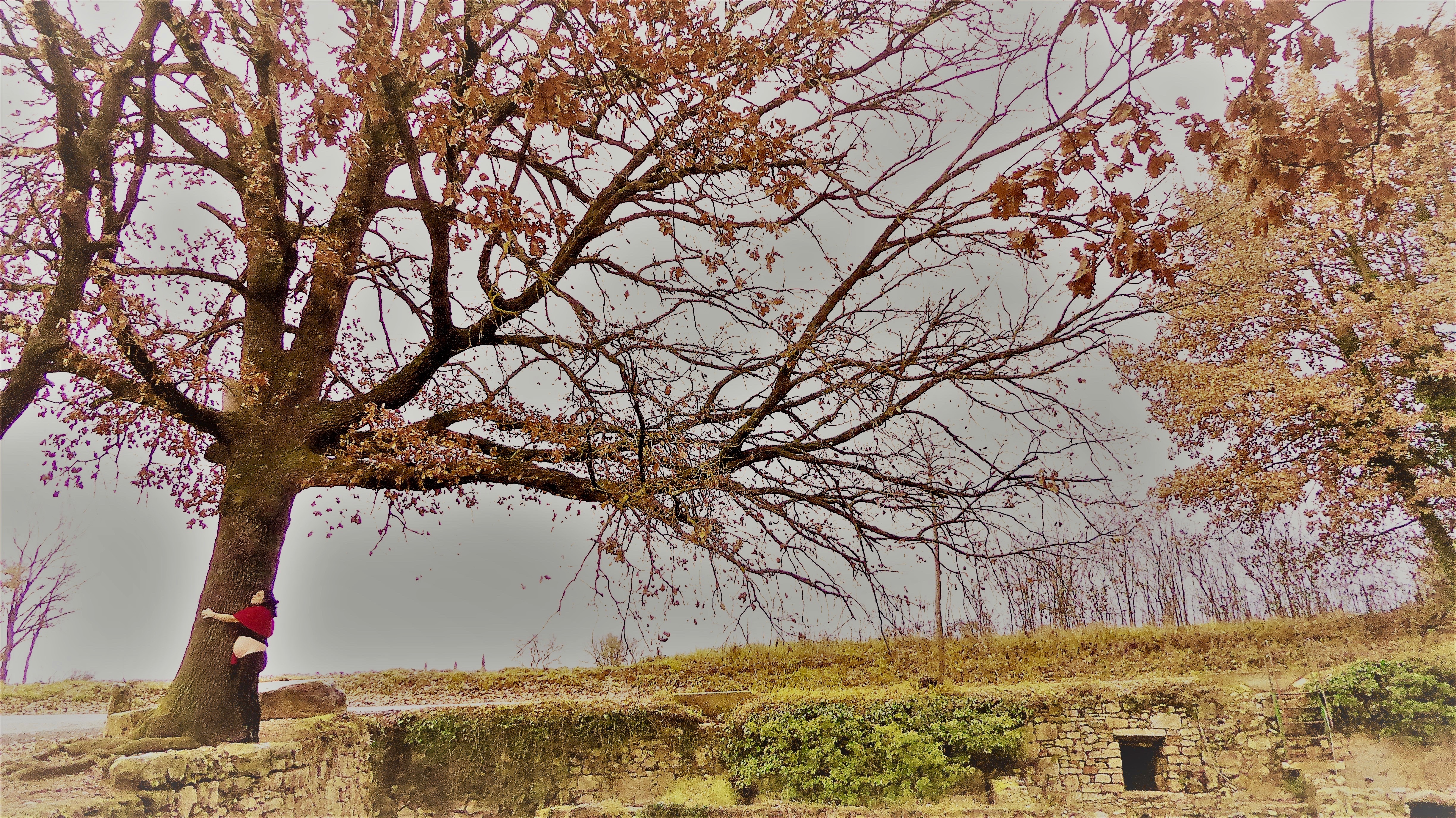 La lunga gestazione. Madrea, conosci e sostieni il progetto